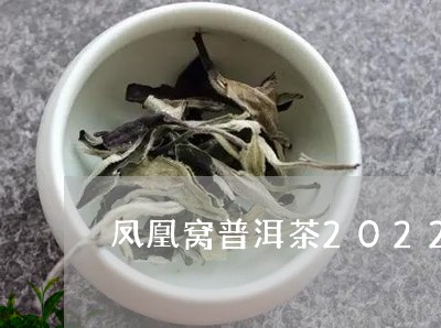 凤凰窝普洱茶2022/2023082888473