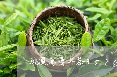 凤凰窝普洱茶357g/2023120673958