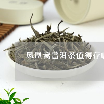 凤凰窝普洱茶值得存嘛/2023120664947