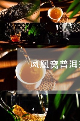 凤凰窝普洱茶特点口感/2023100508179