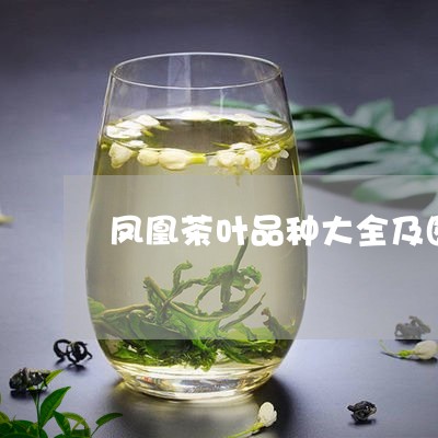 凤凰茶叶品种大全及图片/2023122607140