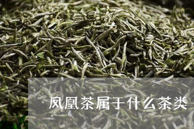 凤凰茶属于什么茶类/2023042315079