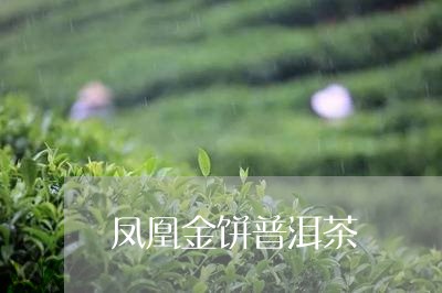 凤凰金饼普洱茶/2023120319504