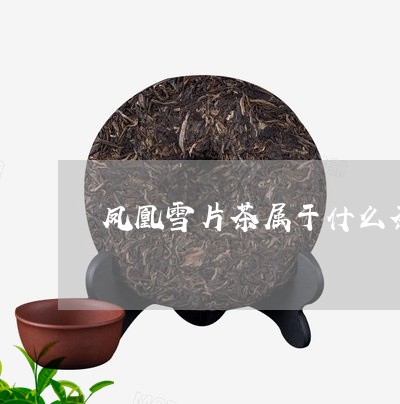 凤凰雪片茶属于什么茶/2023071438570