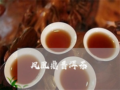 凤凰鼎普洱茶/2023042901081