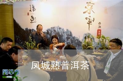 凤城熟普洱茶/2023042788058