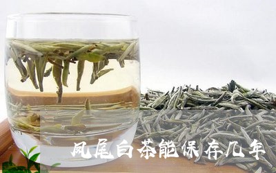 凤尾白茶能保存几年/2023121758603