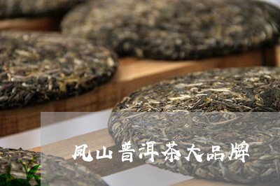 凤山普洱茶大品牌/2023110570494