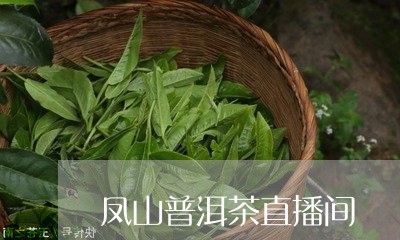 凤山普洱茶直播间/2023101633724