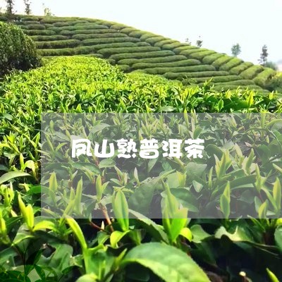 凤山熟普洱茶/2023042696992