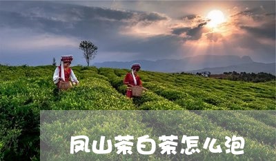 凤山茶白茶怎么泡/2023061326150