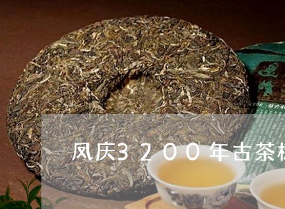 凤庆3200年古茶树图片/2023051158581