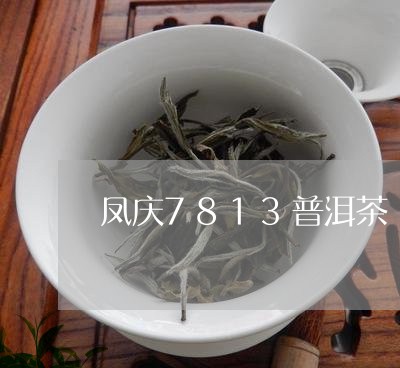 凤庆7813普洱茶/2023091489403