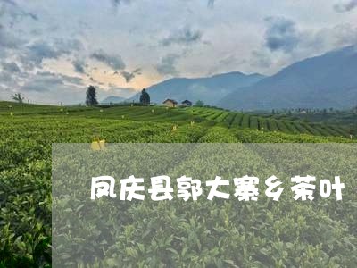 凤庆县郭大寨乡茶叶/2023042593526