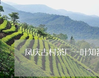 凤庆古村茶厂一叶知茗/2023071527371