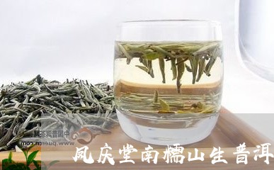 凤庆堂南糯山生普洱茶/2023093041683