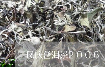 凤庆普洱茶2006/2023091485481