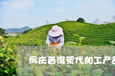 凤庆普洱茶代加工产品图片/2023121504835