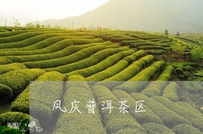 凤庆普洱茶区/2023091310635