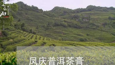 凤庆普洱茶膏/2023042623164