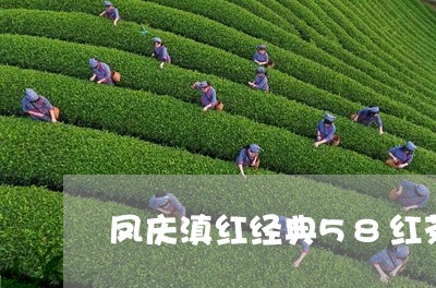 凤庆滇红经典58红茶/2023061307471