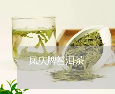 凤庆牌普洱茶/2023042648156