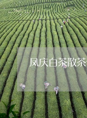 凤庆白茶散茶价格表/2023071586362