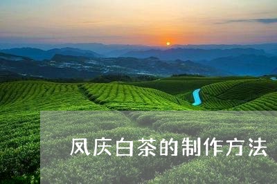 凤庆白茶的制作方法/2023081250470