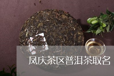 凤庆茶区普洱茶取名/2023070972815