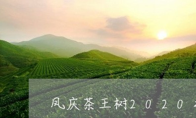 凤庆茶王树2020拍卖价格/2023052693936