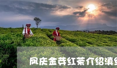 凤庆金芽红茶介绍滇红大金牙功效/2023060318260