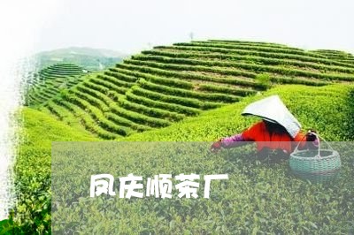 凤庆顺茶厂/2023090211595