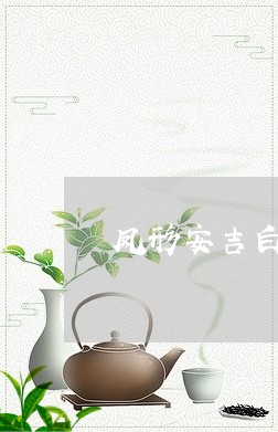 凤形安吉白茶的口感/2023121782748