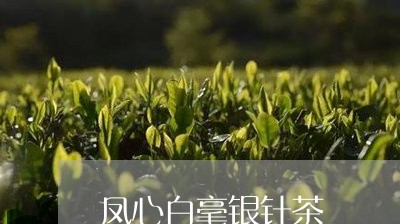 凤心白毫银针茶/2023112308795