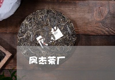 凤杰茶厂/2023110903829