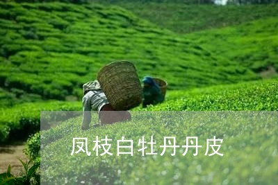 凤枝白牡丹丹皮/2023090692050