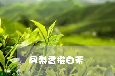 凤梨香橙白茶/2023051375159