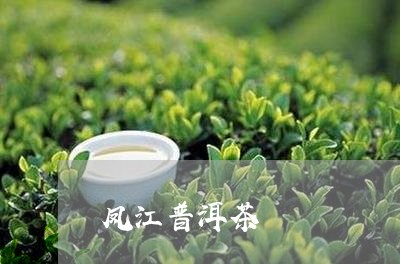 凤江普洱茶/2023112647249