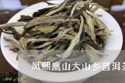 凤熙鹰山大山乡普洱茶/2023061704059