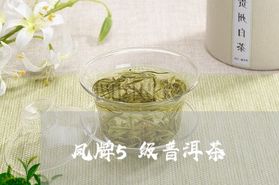 凤牌5级普洱茶/2023081891527