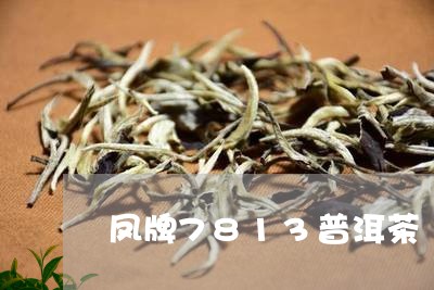 凤牌7813普洱茶/2023091418492