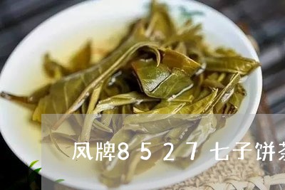 凤牌8527七子饼茶的泡法/2023052689482