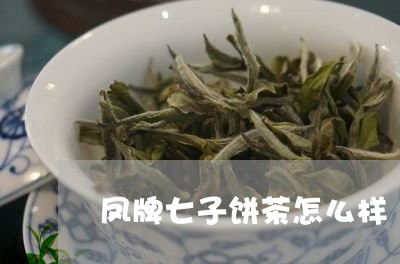 凤牌七子饼茶怎么样/2023042291506