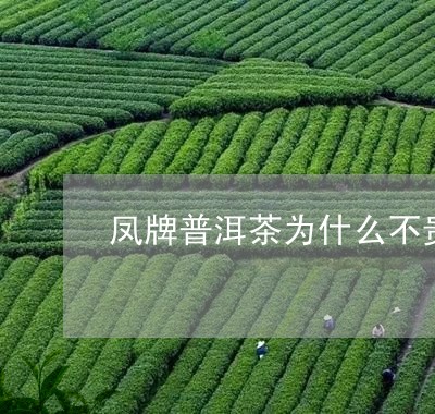 凤牌普洱茶为什么不贵一点/2023121579501