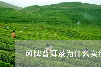 凤牌普洱茶为什么卖得不贵/2023110100705