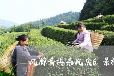 凤牌普洱茶凤庆8景礼盒/2023082855060