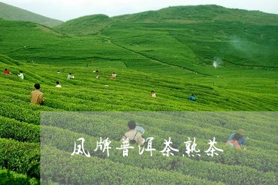 凤牌普洱茶熟茶/2023110536038