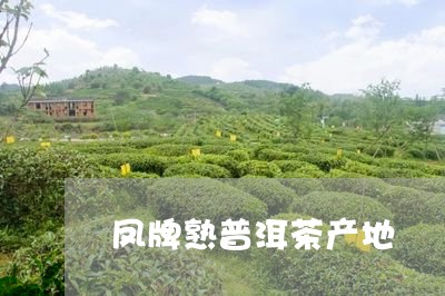 凤牌熟普洱茶产地/2023121514936