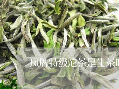 凤牌特级沱茶是生茶吗/2023071611403