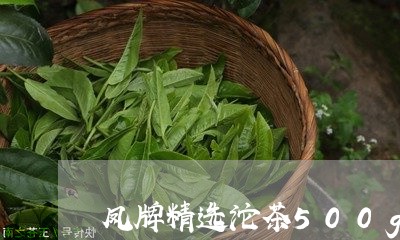 凤牌精选沱茶500g/2023071540582